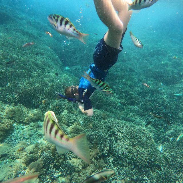 Sanur: Coastal Area Snorkeling Session - Inclusions