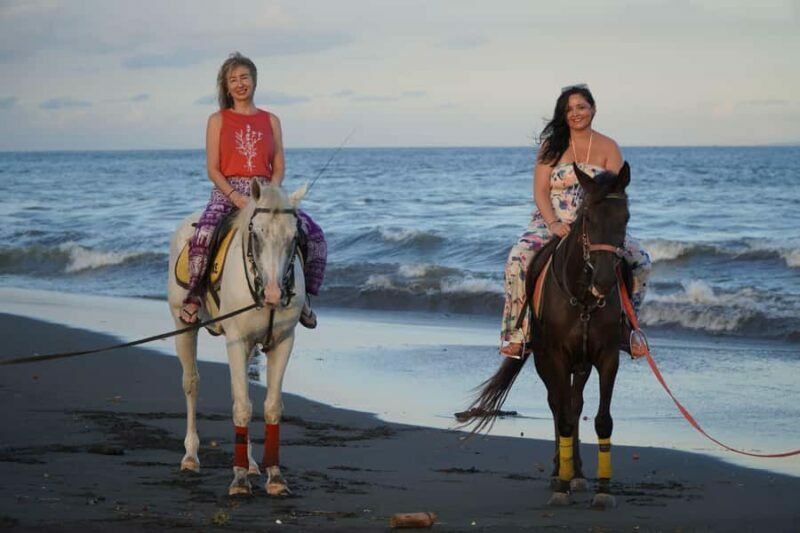 Sanur: Horse Riding at the Bali Beach 30 minute ride - Key Points