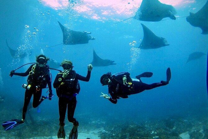 Sanur Open Water Course learn diving in 3 Days - Get certified & Dive everywhere - An In-Depth Look at the Sanur Open Water Course