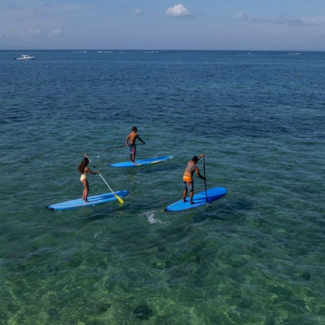 Sanur : Stand Up Paddleboard - Pricing and Reservations
