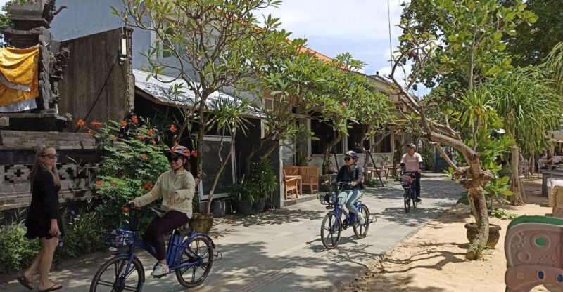 Sanur Village E-Bike Tour: With Turtle Sanctuary Visit - Inclusions and Amenities