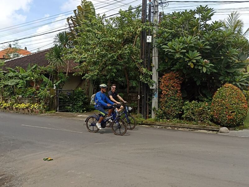 Sanur Village E-Bike Tour: With Turtle Sanctuary Visit - Customer Feedback and Ratings
