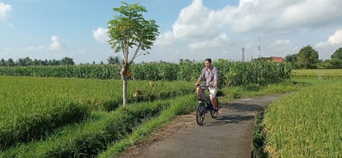 Sanur Village E-Bike Tour: With Turtle Sanctuary Visit - Learning About Balinese Culture