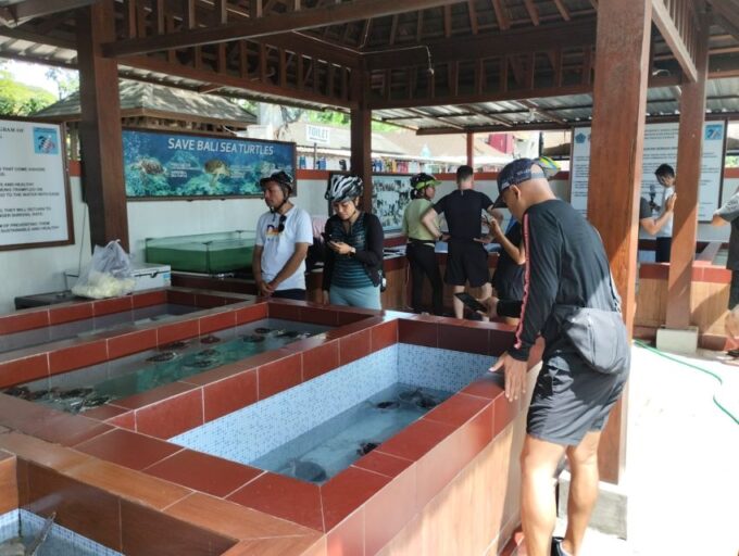 Sanur Village E-Bike Tour: With Turtle Sanctuary Visit - Eco-Friendly Adventure With E-Bikes