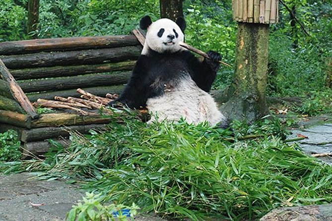 Sanxingdui Ruins and Giant Pandas Private Day Tour From Chengdu - Inclusions