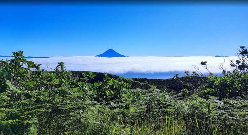 Sao Jorge: Island Round Trip Up to 4 Hours. - Customization and Flexibility