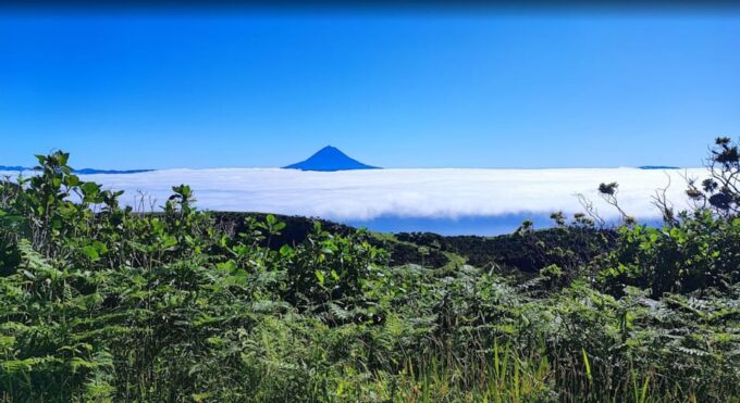 Sao Jorge: Island Round Trip Up to 4 Hours. - Recap