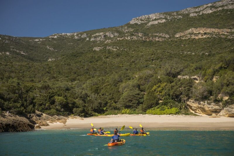 Sao Lourenço: Luiz Saldanha & Arrábida Park Canoeing Tour - Key Points