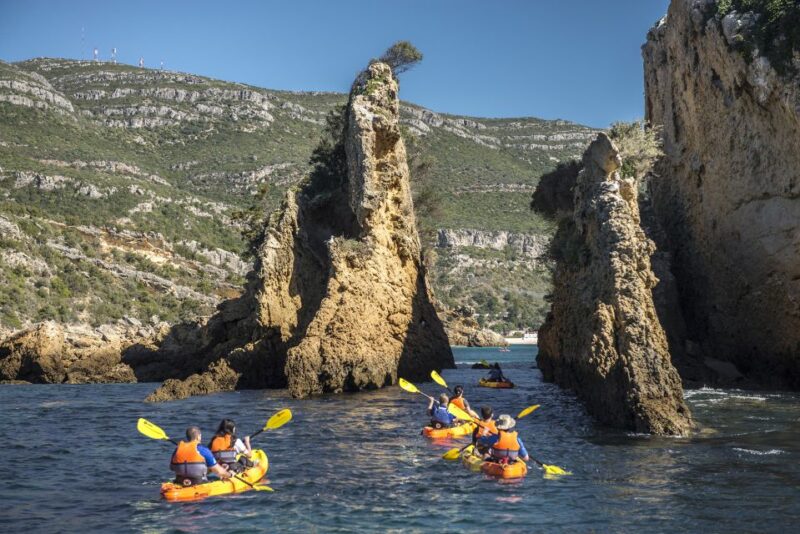 Sao Lourenço: Luiz Saldanha & Arrábida Park Canoeing Tour - Activity Highlights