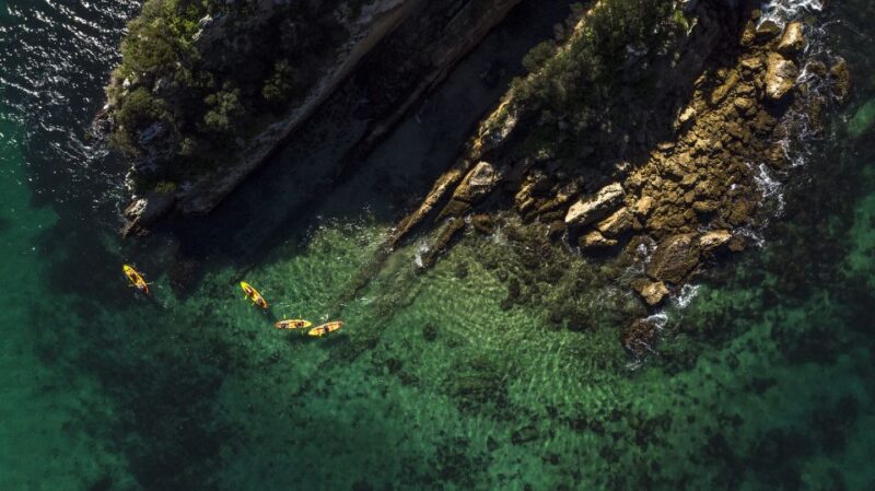 Sao Lourenço: Luiz Saldanha & Arrábida Park Canoeing Tour - Booking Information