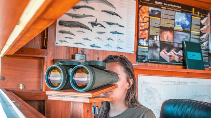 Sao Miguel: Azorean Whalers Heritage Tour - Key Points
