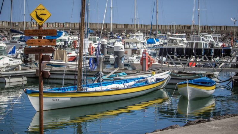 Sao Miguel: Azorean Whalers Heritage Tour - Visit to the 1945 Whaleboat