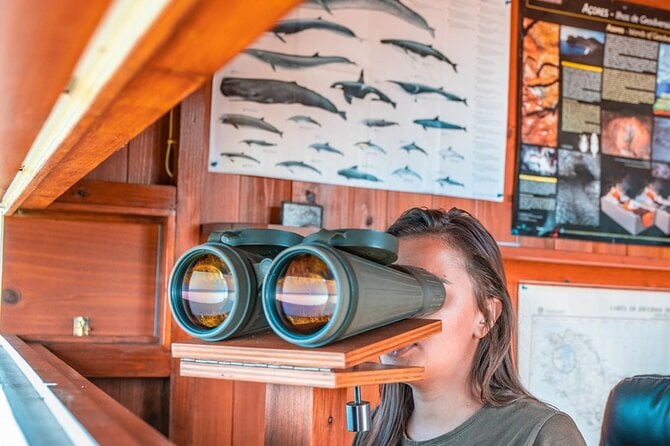 Sao Miguel: Azorean Whalers Heritage Tour - Guided Van Tour