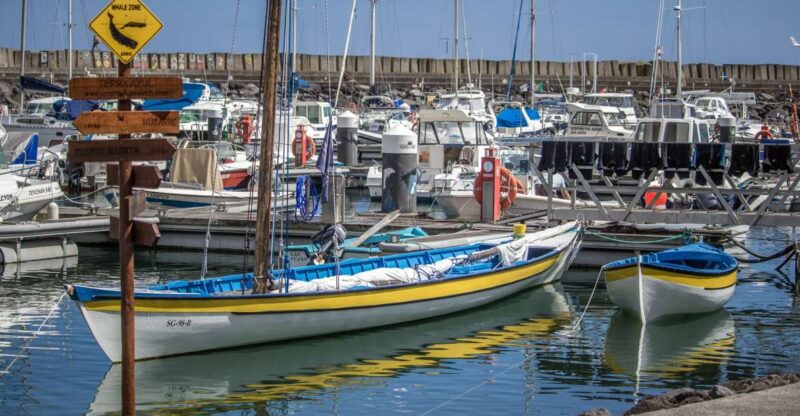 Sao Miguel: Azorean Whalers Heritage Tour - Key Points
