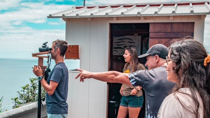 Sao Miguel: Azorean Whalers Heritage Tour - Itinerary Highlights