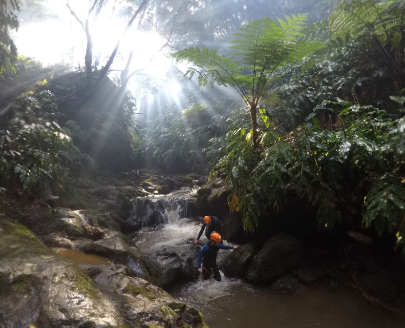 Sao Miguel, Azores: Canyoning Experience at Ribeira Grande - Customer Ratings and Feedback