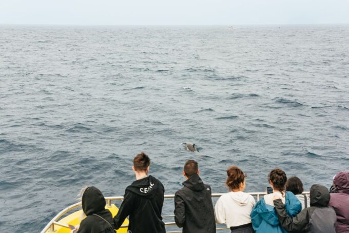 Sao Miguel Azores: Half-Day Whale Watching Trip - Customer Reviews