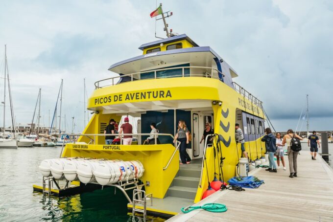 Sao Miguel Azores: Half-Day Whale Watching Trip - Frequently Asked Questions