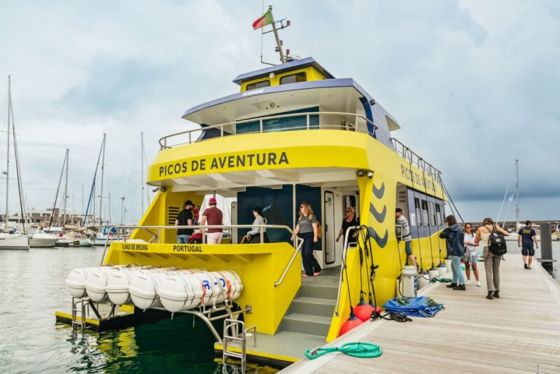 Sao Miguel Azores: Half-Day Whale Watching Trip - Inclusions and Exclusions