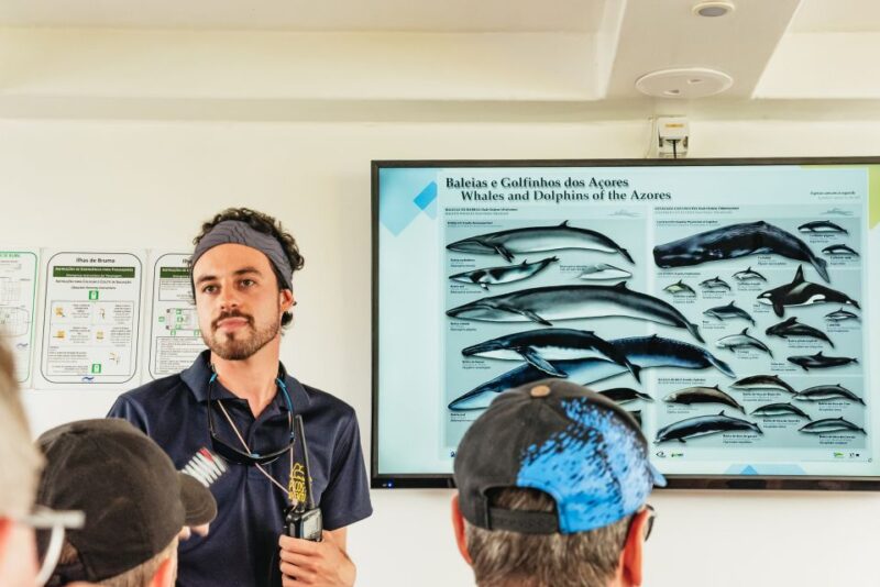 Sao Miguel Azores: Half-Day Whale Watching Trip - Participant Guidelines