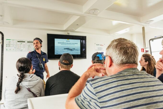 Sao Miguel Azores: Half-Day Whale Watching Trip - Whale and Dolphin Sightings