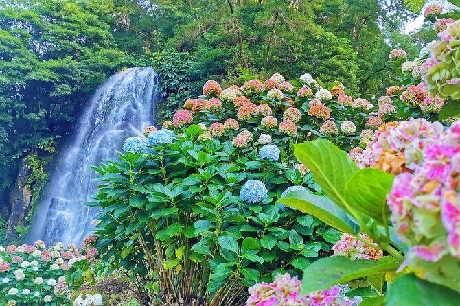 São Miguel, Azores - Private Tour 9 Hours in a 4-Seat Car Exclusively for You - Additional Information