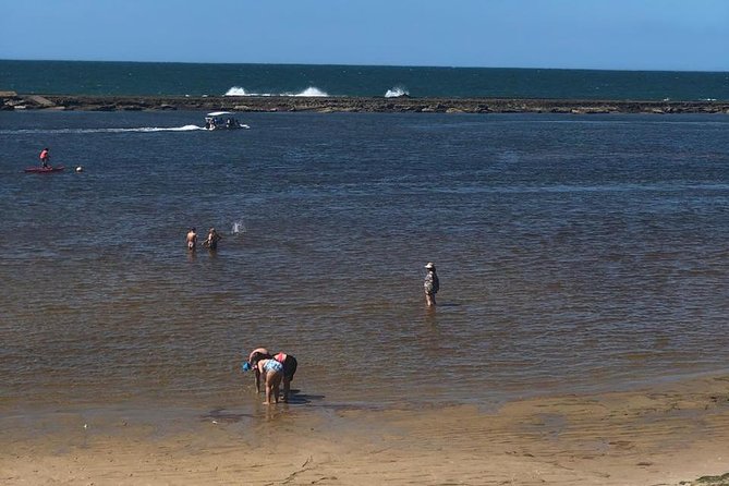 Sao Miguel Bar - Tour Highlights