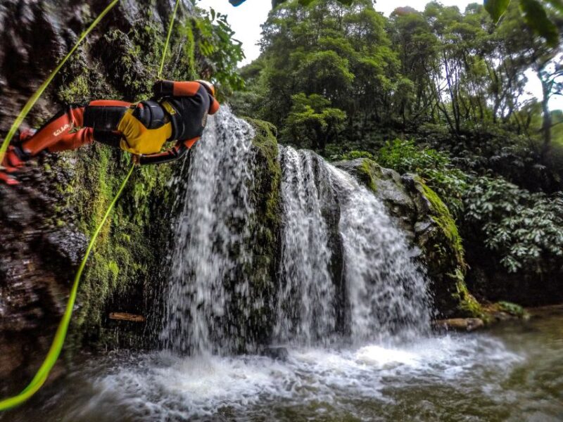 Sao Miguel: Caldeiroes Canyoning Experience - Included in the Tour