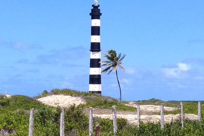 Sao Miguel Do Gostoso Day Trip From Natal - Reservation and Payment