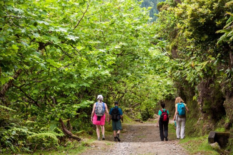 Sao Miguel: Full-Day Hike to Lagoa Do Fogo - Key Points