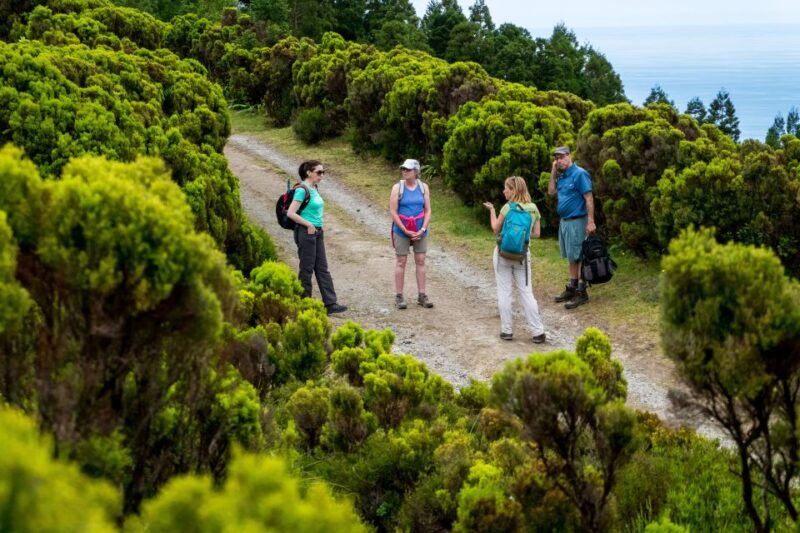 Sao Miguel: Full-Day Hike to Lagoa Do Fogo - Itinerary Details