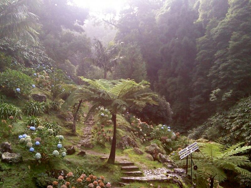 Sao Miguel: Full-Day Nordeste & Waterfall Tour With Lunch - Key Points