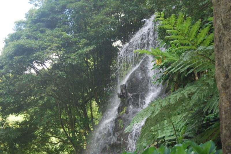 Sao Miguel: Full-Day Nordeste & Waterfall Tour With Lunch - Experience Highlights