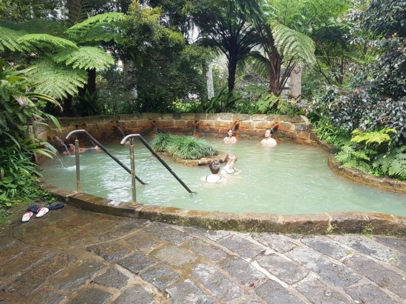 São Miguel: Full-Day Tour of Furnas Valley - Pickup and Group Size