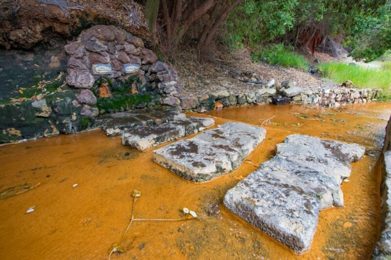 São Miguel: Full-Day Tour of Furnas Valley - Pickup and Group Size