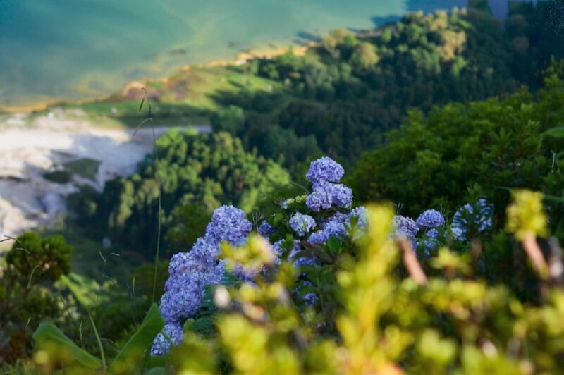 Sao Miguel: Iconic Furnas Volcano & Nordeste Full-Day Tour - Key Points