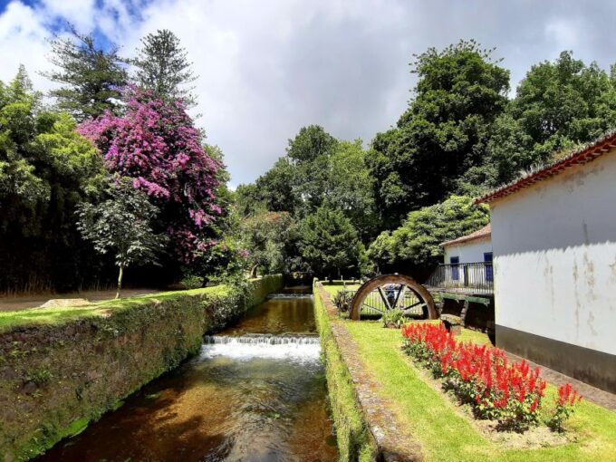 Sao Miguel: Iconic Furnas Volcano & Nordeste Full-Day Tour - Important Tour Details