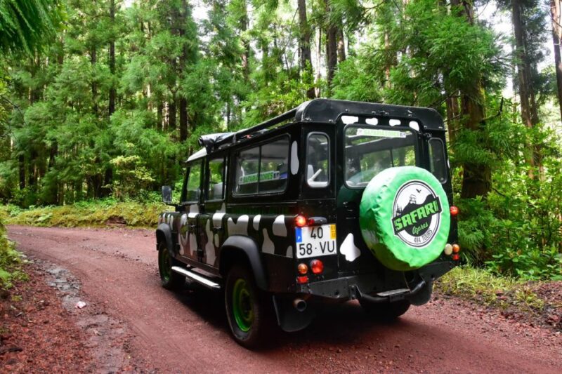 São Miguel Island: Full Day Furnas and Furnas Lake Tour - Key Points