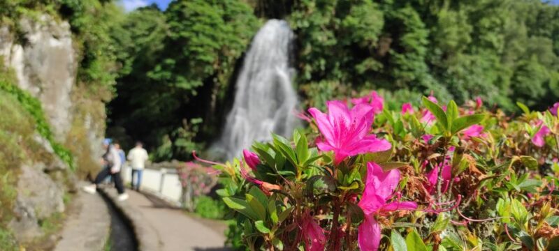 São Miguel Island on Jeep - Customer Reviews and Ratings