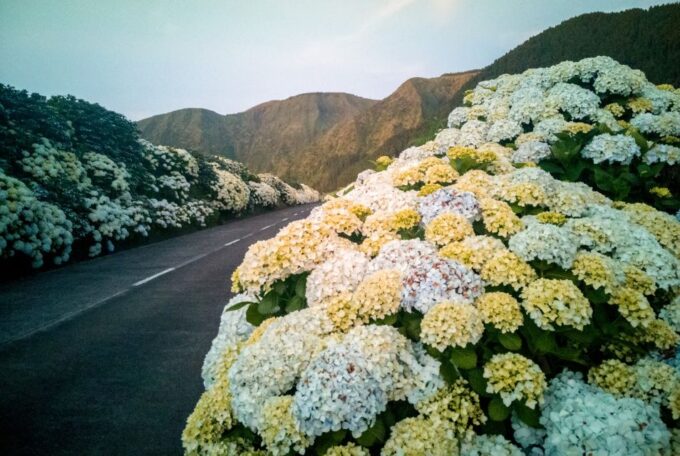Sao Miguel: Jeep Tour to Sete Cidades & Lagoa Do Fogo - Group Size and Languages