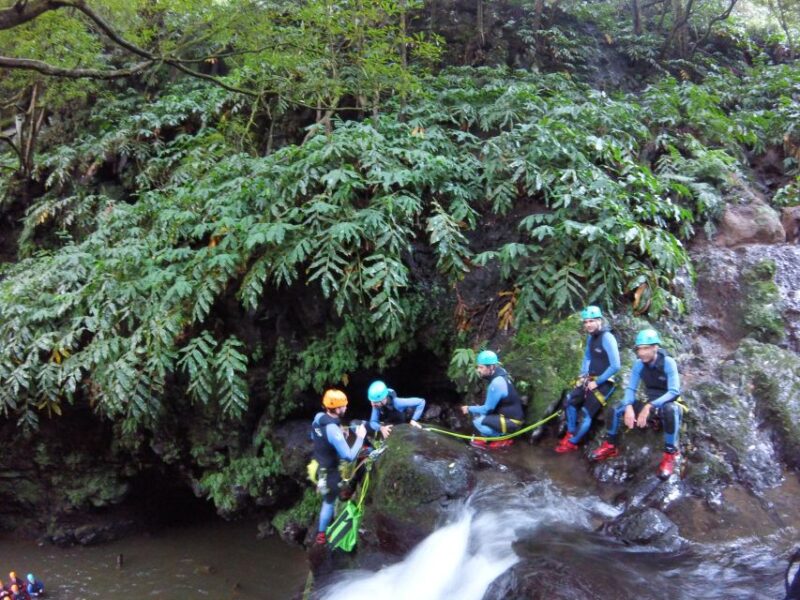 Sao Miguel: Ribeira Dos Caldeiroes Canyoning Experience - Customer Feedback