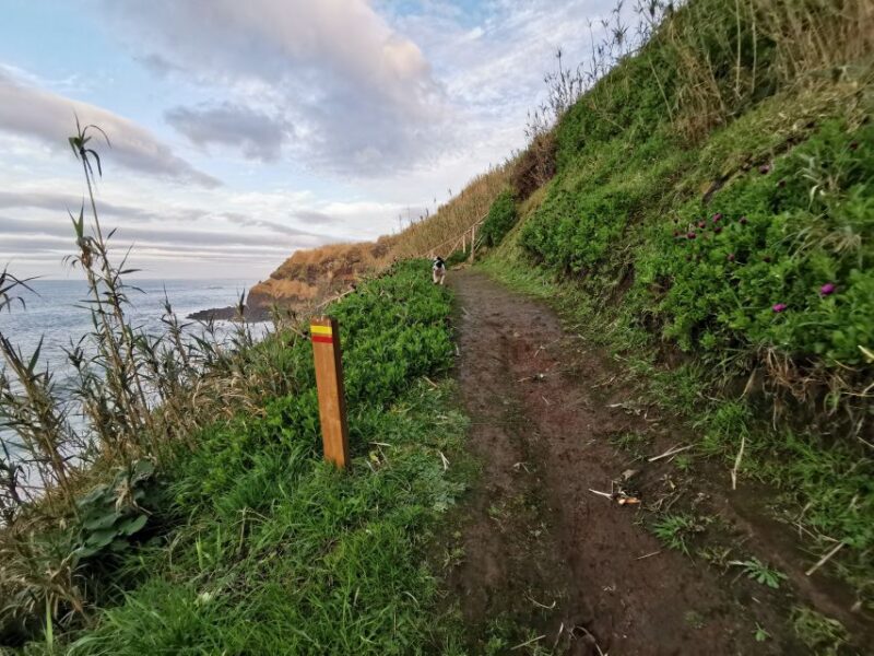 São Miguel: Ribeira Funda Hike & Tea Plantation With Lunch - Highlights and Experience