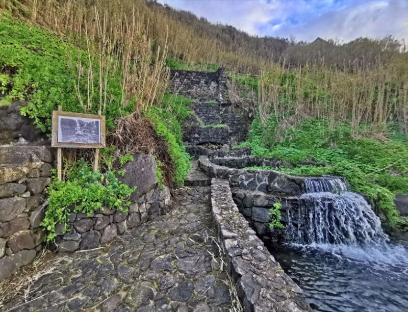 São Miguel: Ribeira Funda Hike & Tea Plantation With Lunch - Discover Rural Villages