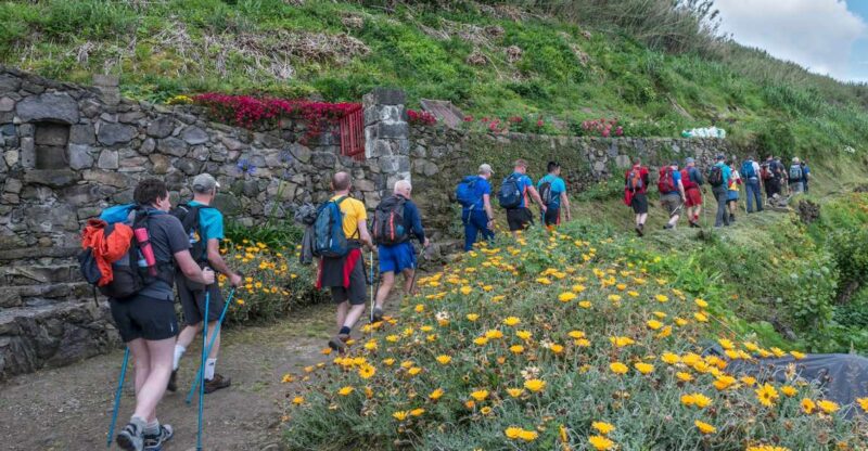 São Miguel: Ribeira Funda Hike & Tea Plantation With Lunch - Itinerary Details