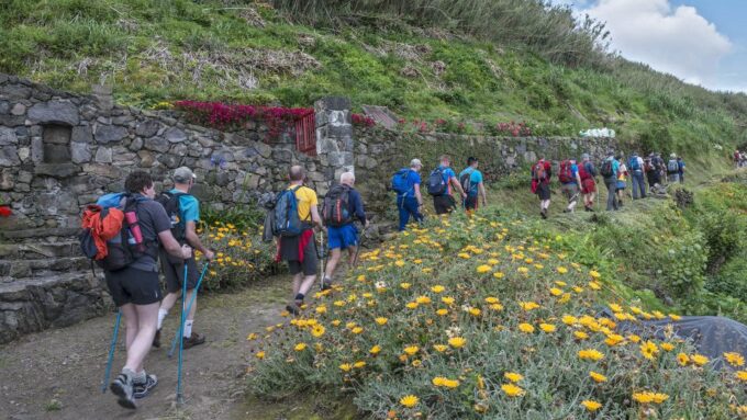 São Miguel: Ribeira Funda Hike & Tea Plantation With Lunch - Frequently Asked Questions