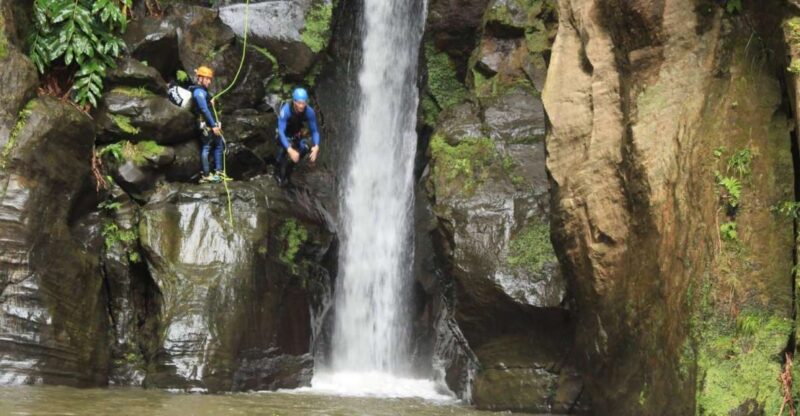 Sao Miguel: Salto Do Cabrito Guided Canyoning Experience - Adventure Highlights