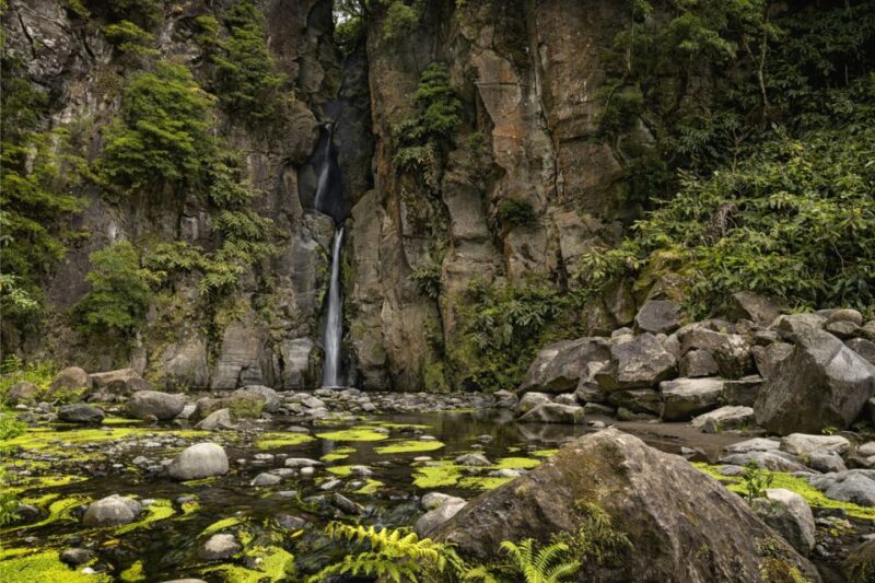Sao Miguel: Salto Do Cabrito Guided Canyoning Experience - Difficulty and Requirements