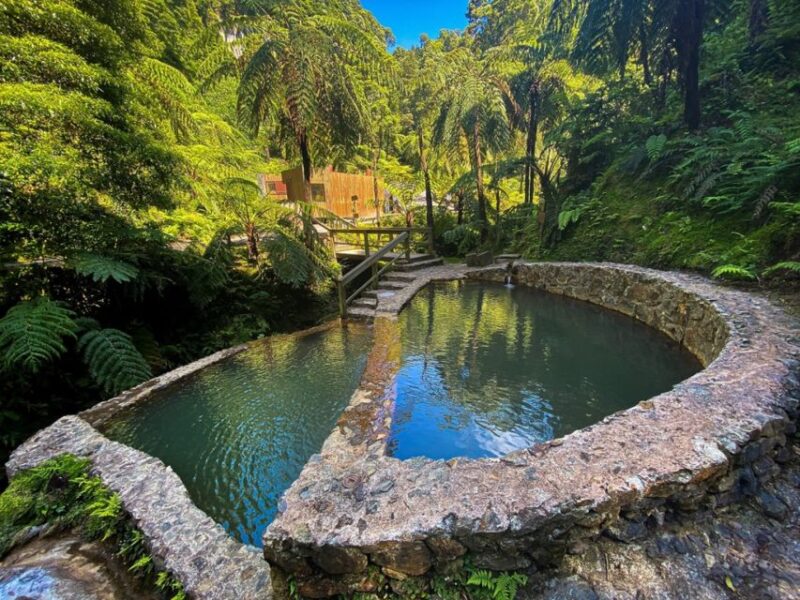 Sao Miguel: Sete Cidades and Lagoa Do Fogo Full-Day Tour - Customer Reviews and Feedback