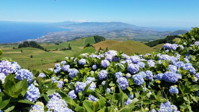 Sao Miguel: Sete Cidades and Lagoa Do Fogo Full-Day Tour - Cultural Experiences