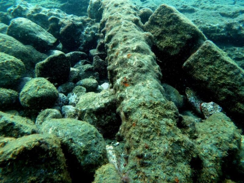 Sao Miguel: Snorkeling Around Vila Franca Do Campo - Booking and Cancellation